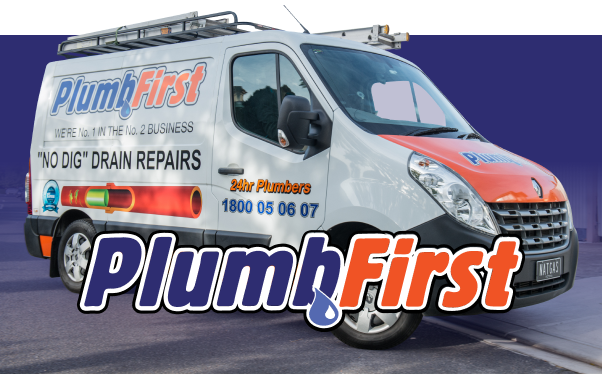 Professional Plumbers